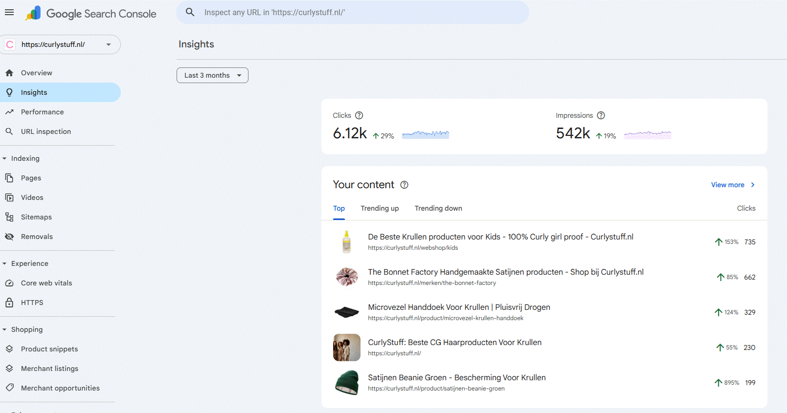 CurlyStuff - Bekroonde Krullen E-commerce SEO Succes